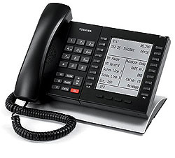 Phone Service Using your Phone Systems